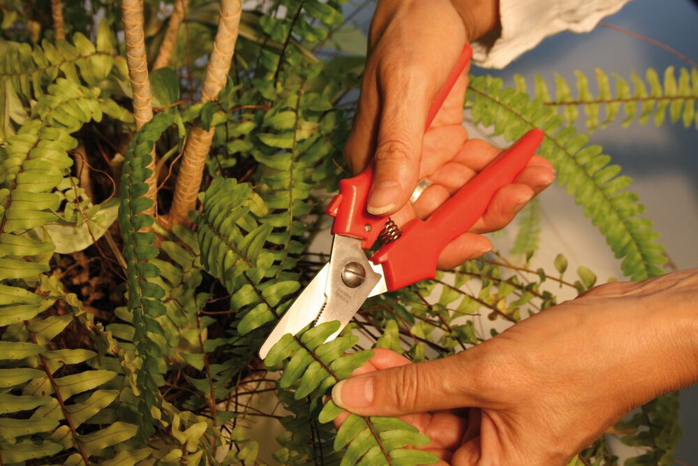 Universalios kirpimo žirklės Bessey D47/D48